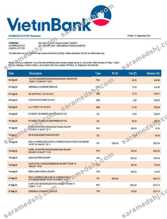 Vietin Bank firm account statement Word and PDF template
